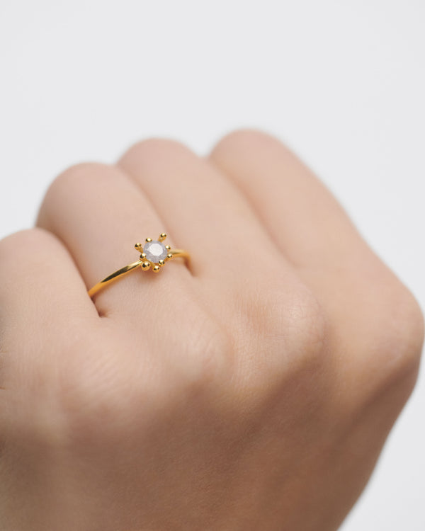 Anello Fleur con Zirconi Grigi | AN01-C93-08