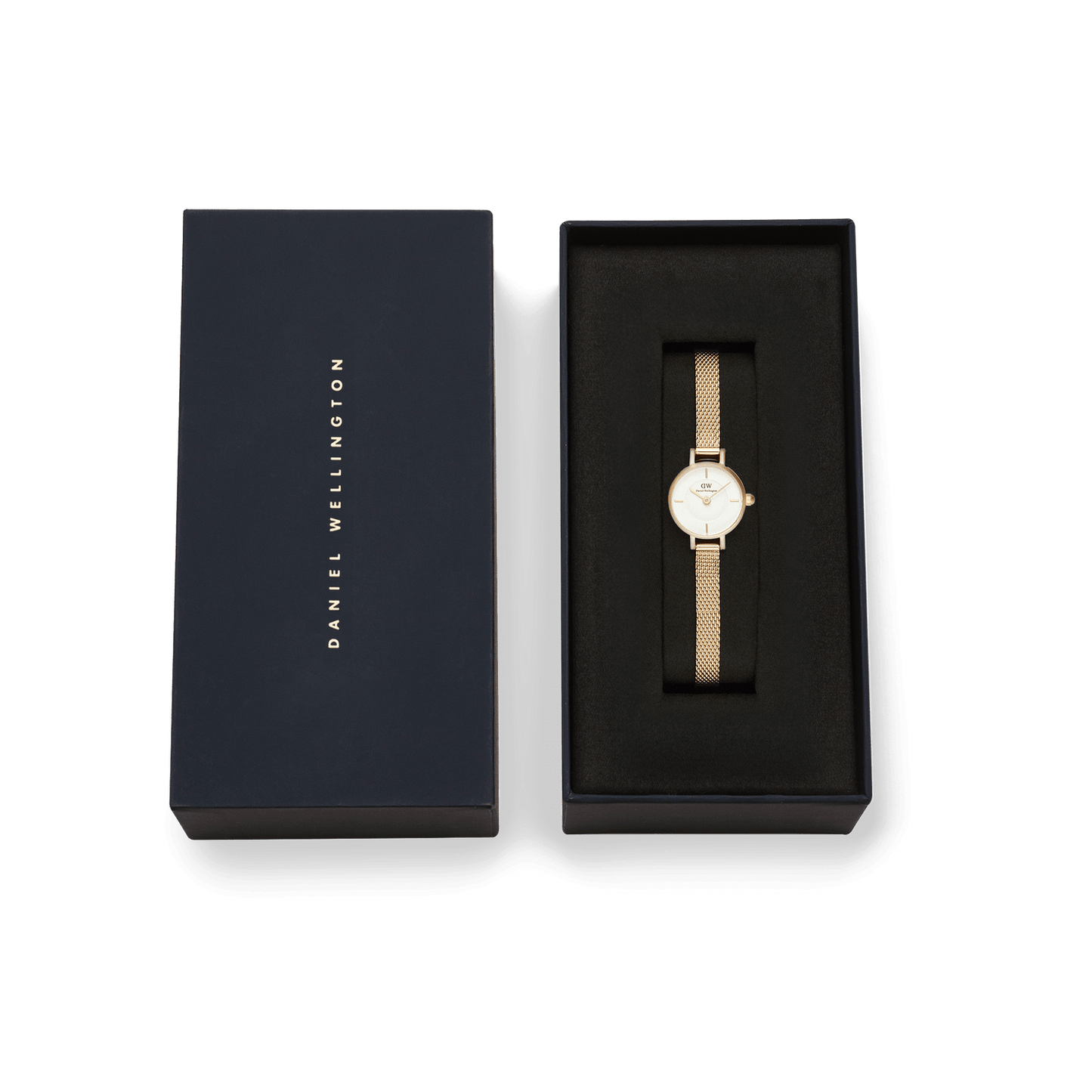 Daniel Wellington Orologio Petite Mini Evergold - DW00100745