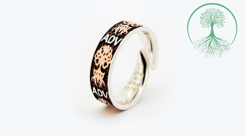 4f-adv-fede-in-oro-e-argento