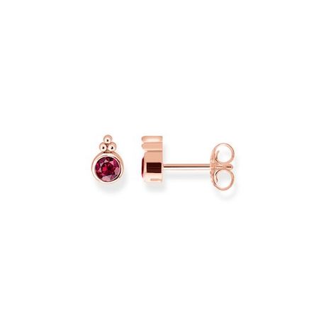 Charm Rose Beach Thomas Sabo - una fragranza da donna 2015 Charm Rose Beach Thomas Sabo - una fragranza da donna 2015